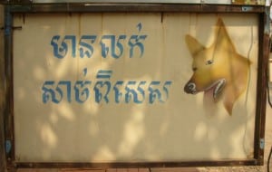 Dog Meat Dog Meat