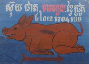 Flying Pigs